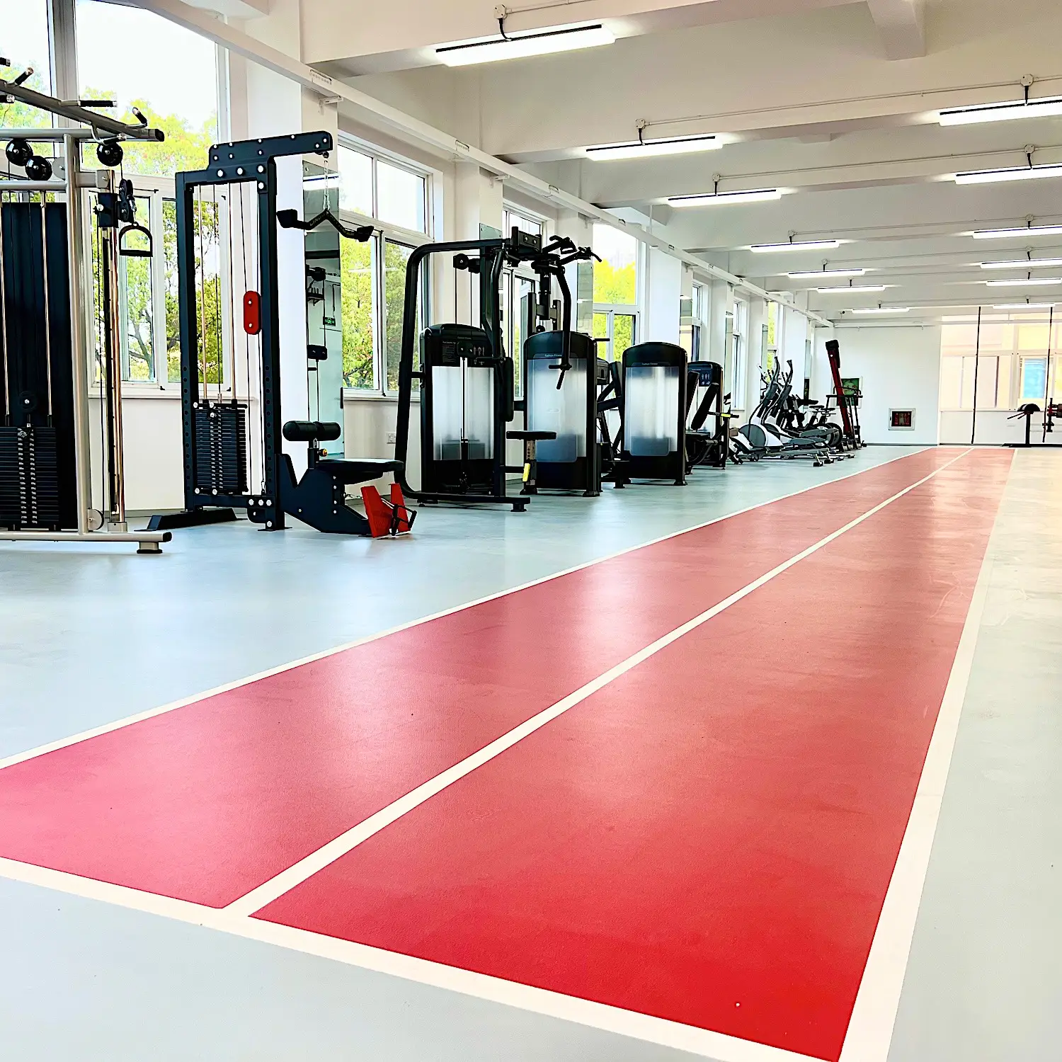gym_14